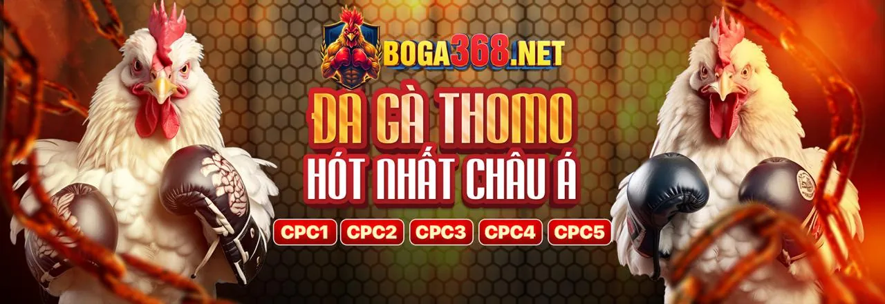Hình ảnh chính về chiến lược casino trực tuyến tic88 win