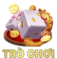 Biểu tượng kiểm tra